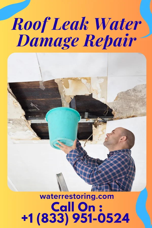 Roof Leak Water Damage Repair in Cody, WY